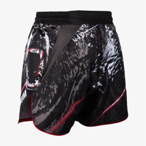 MMA Fighter Shorts